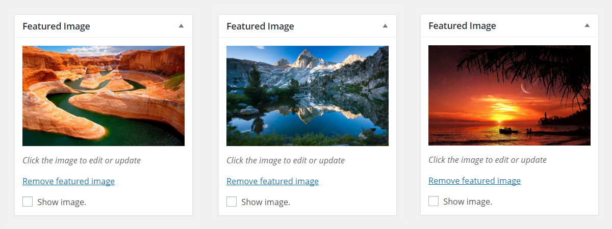Featured Image with Custom Fields